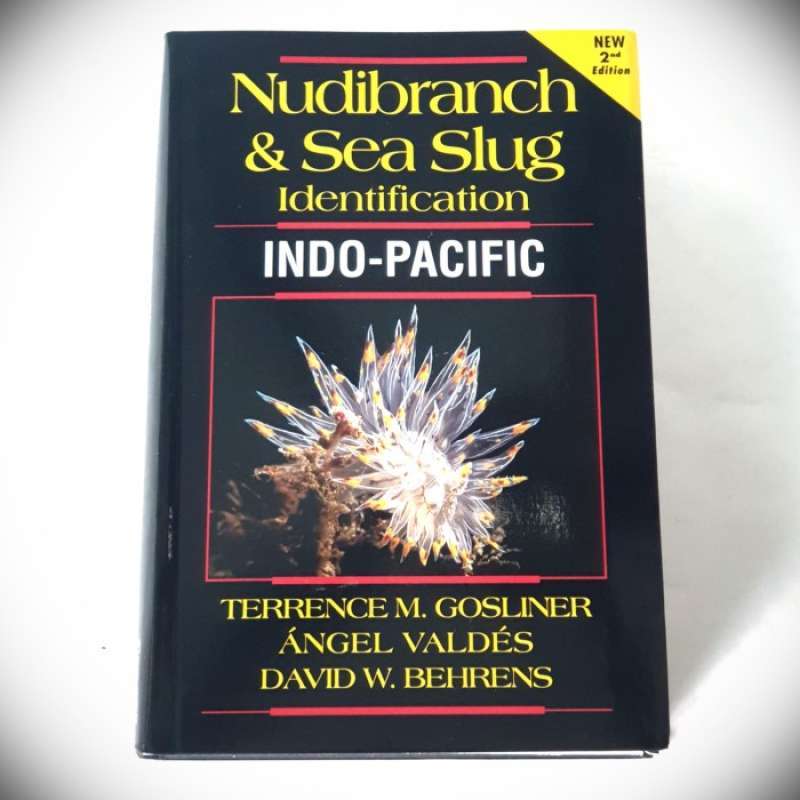 Promo Buku Nudibranch & Sea Slug Identification Indo Pacific 2nd ...