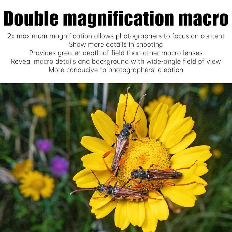 AstrHori 28mm F13 Full Frame 2X Macro Probe Lens (Direct)