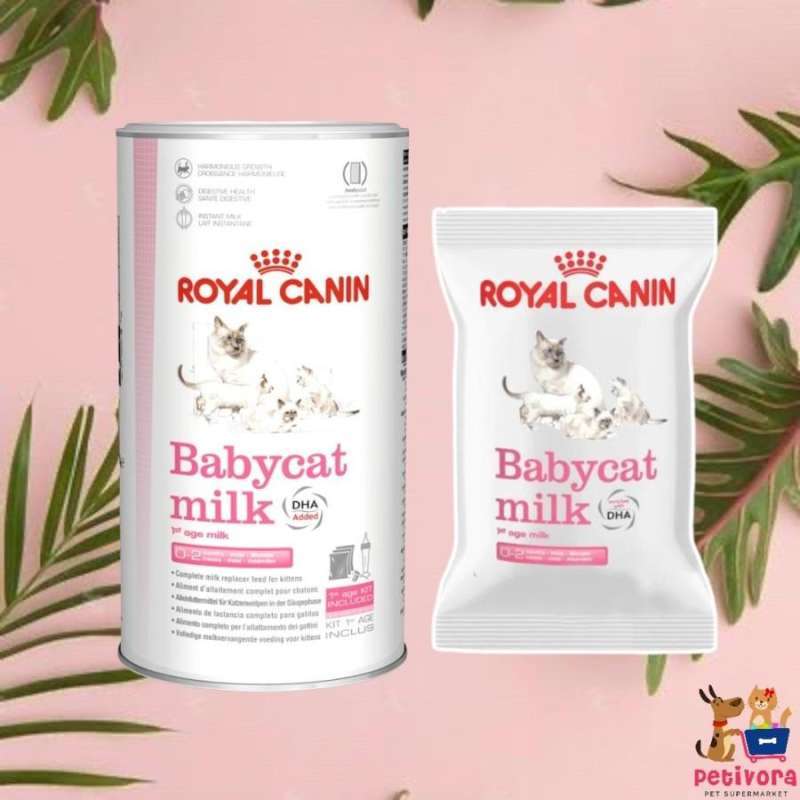 Jual Royal Canin Baby Cat Milk 100gr Susu Kucing RC Kitten Harga per