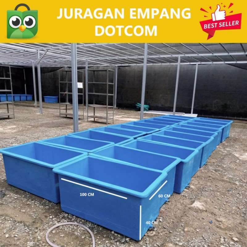 Cara Melakukan Karantina pada Ikan Hias Laut