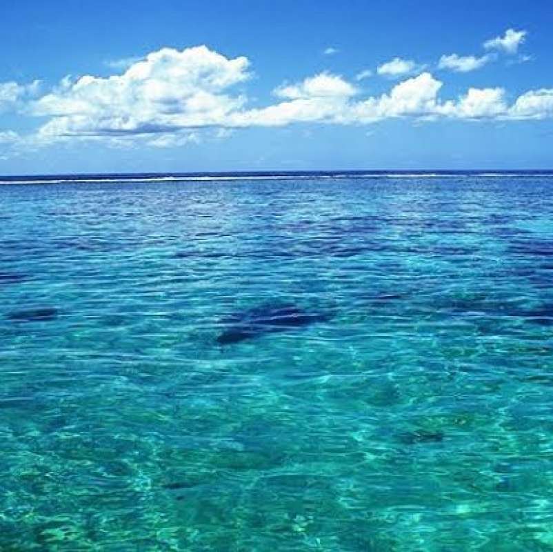 Promo Air laut untuk aquarium 1000L / Delivery air laut / Jual air laut