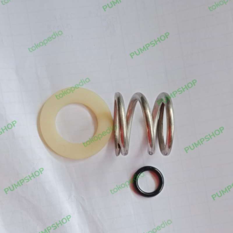 Promo SPRING PER UNTUK KEPALA FILTER KOLAM RENANG SATU SET Diskon 23% ...