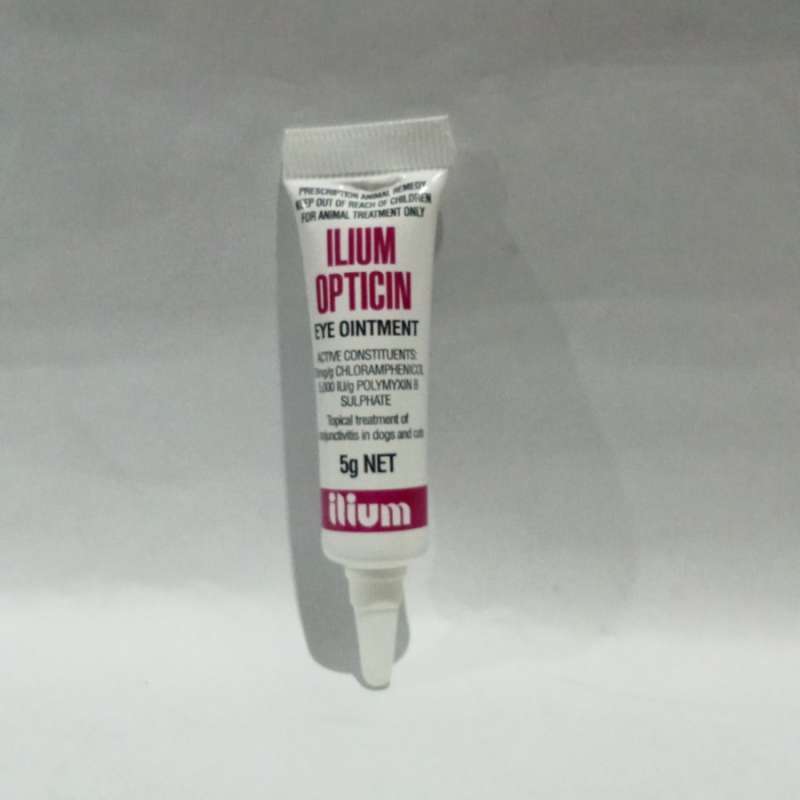 Ilium eye ointment outlet for dogs