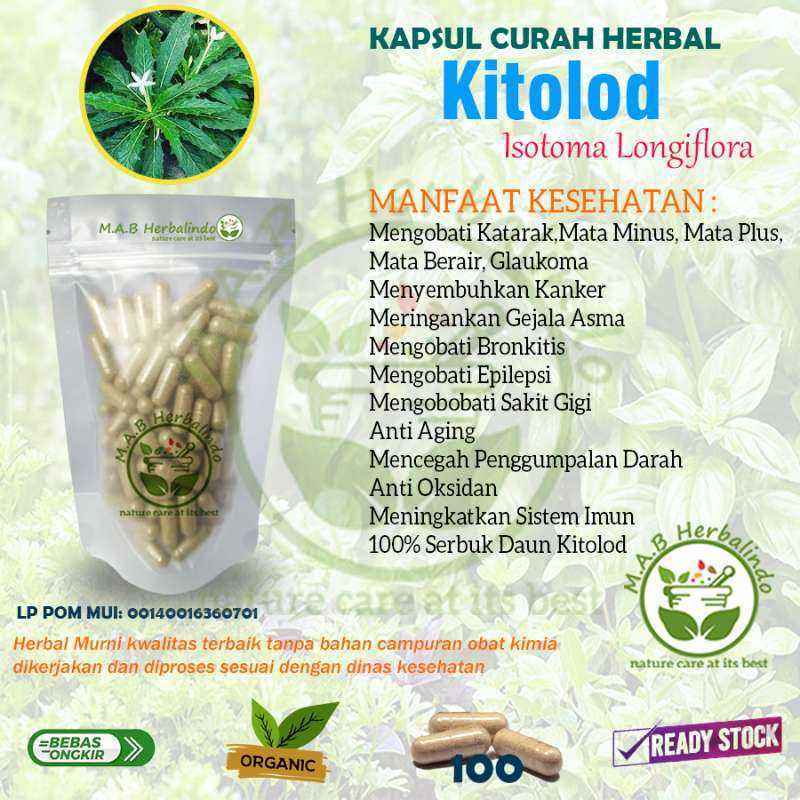 Eng katta kokrak kitob