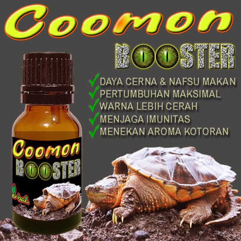 Jual Snapping Turtle Terdekat 🏷️ Harga Grosir Murah Terupdate Hari Ini ...