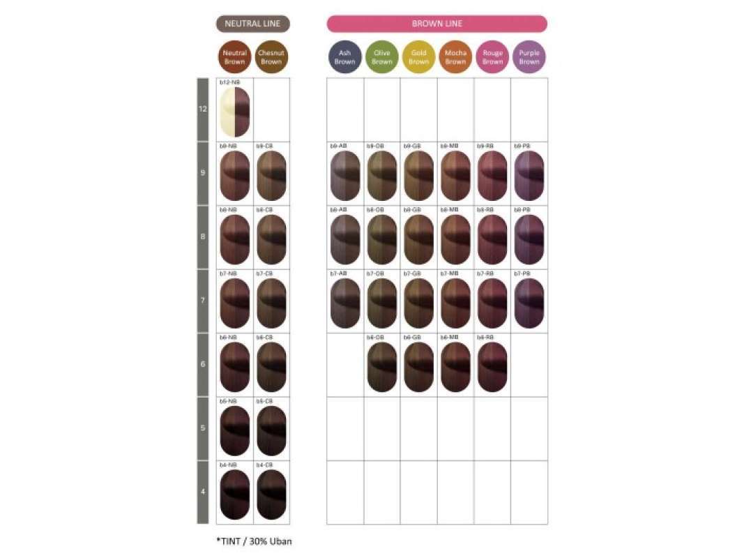 Jual Milbon Ordeve Beaute Hair Color Di Seller Raindrop - Cengkareng ...