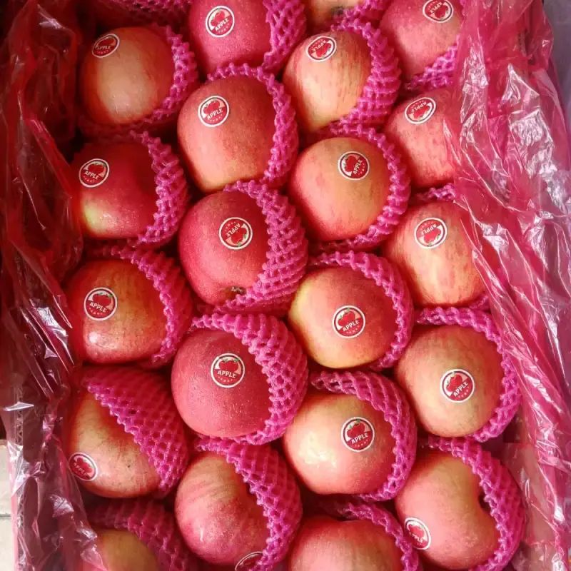 Apel Biasa 1 Kg Gratis Ongkir 🔥 Harga Murah Juni 2026