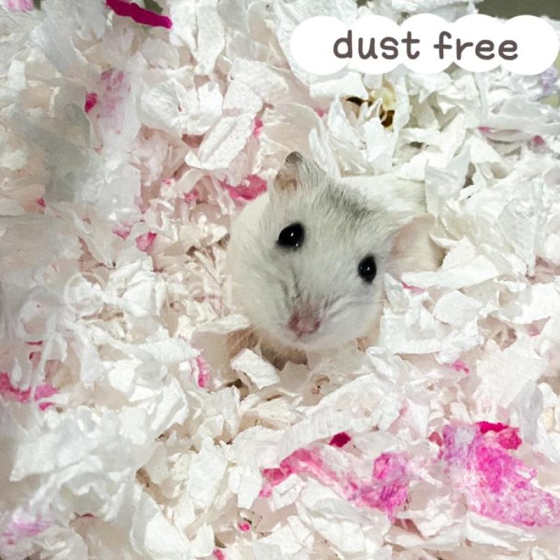 Tissue bedding for hamster cheap