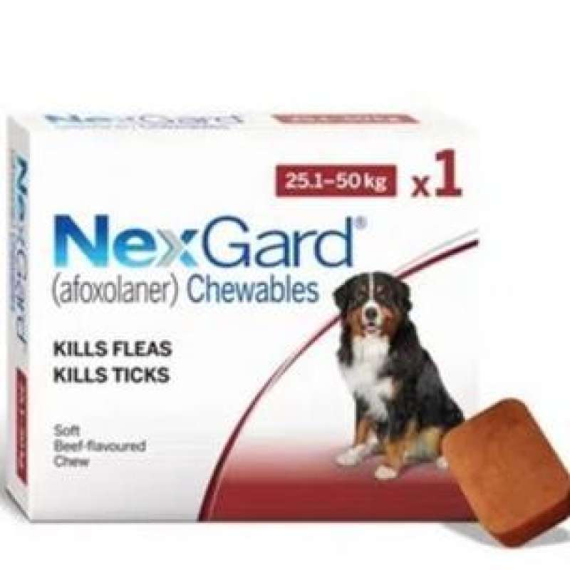 Promo Nexgard 25-50Kg Xl Dogs Obat Kutu Anjing Tablet - Chewable ...
