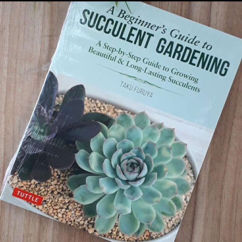 Promo A Beginners Guide To Succulent Gardening Diskon 23% di Seller ...