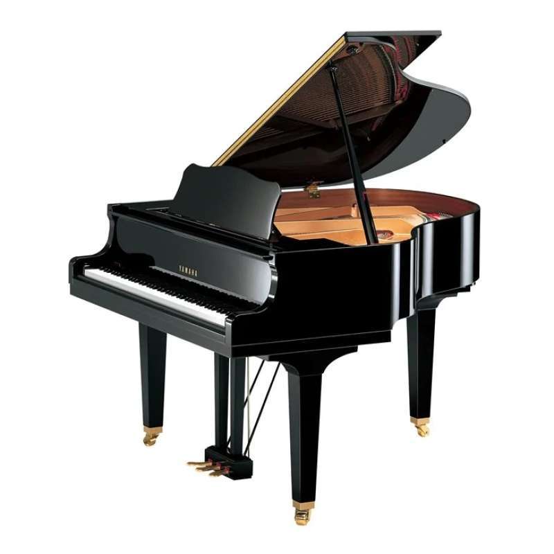 Grand Piano Harga Terbaru Februari 2025 Gratis Ongkir