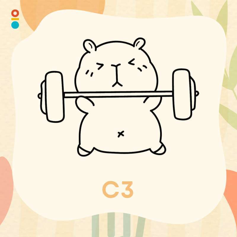 Jual Montigo | Custom Engraving - Icon Montigo Capybara Di Seller ...