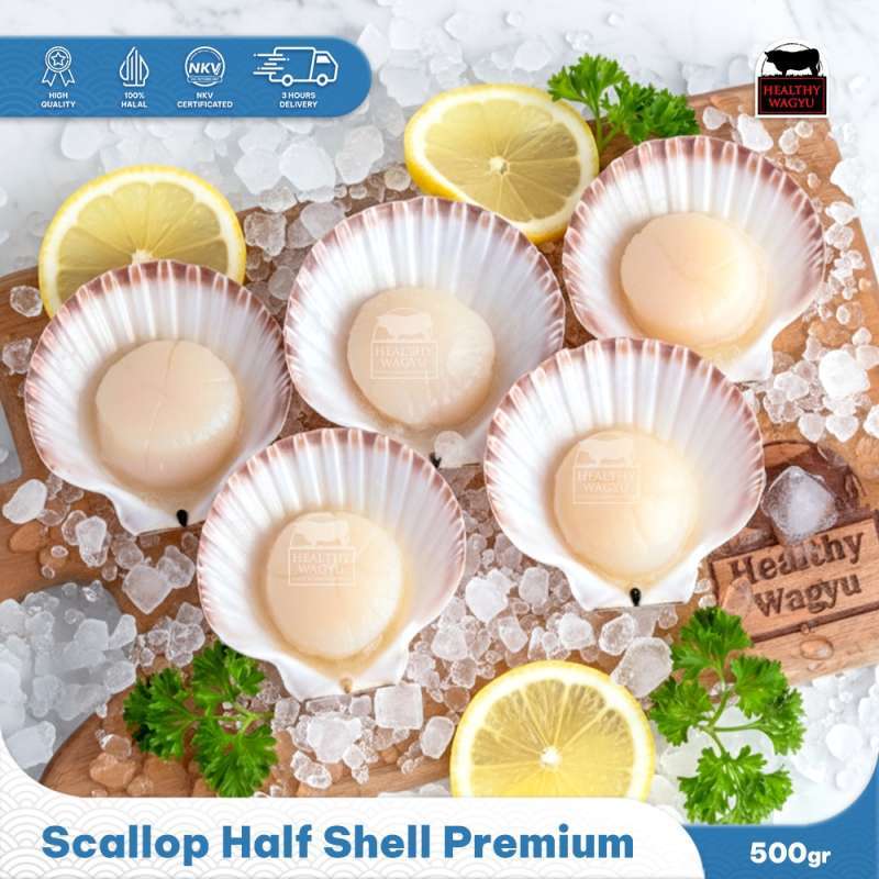 Shell Ke Rang Jual Kerang Simping Terdekat 🏷️ Harga Grosir Murah Terupdate Hari Ini ...