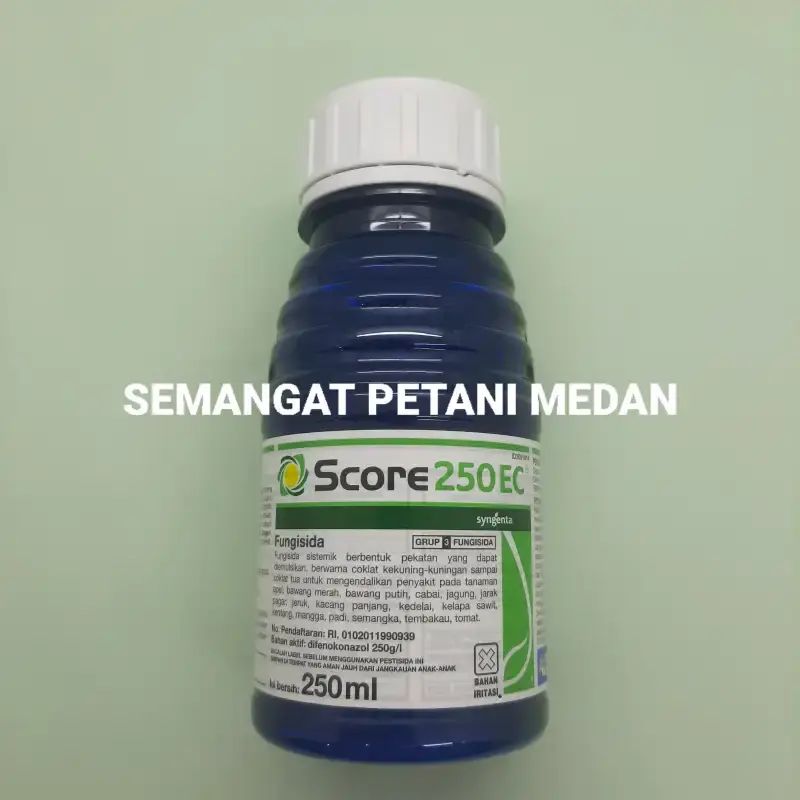 Score 250 Jual Score 250 Ec 250 Ml 💯 Harga Murah & Kualitas Terbaik Juli 2026