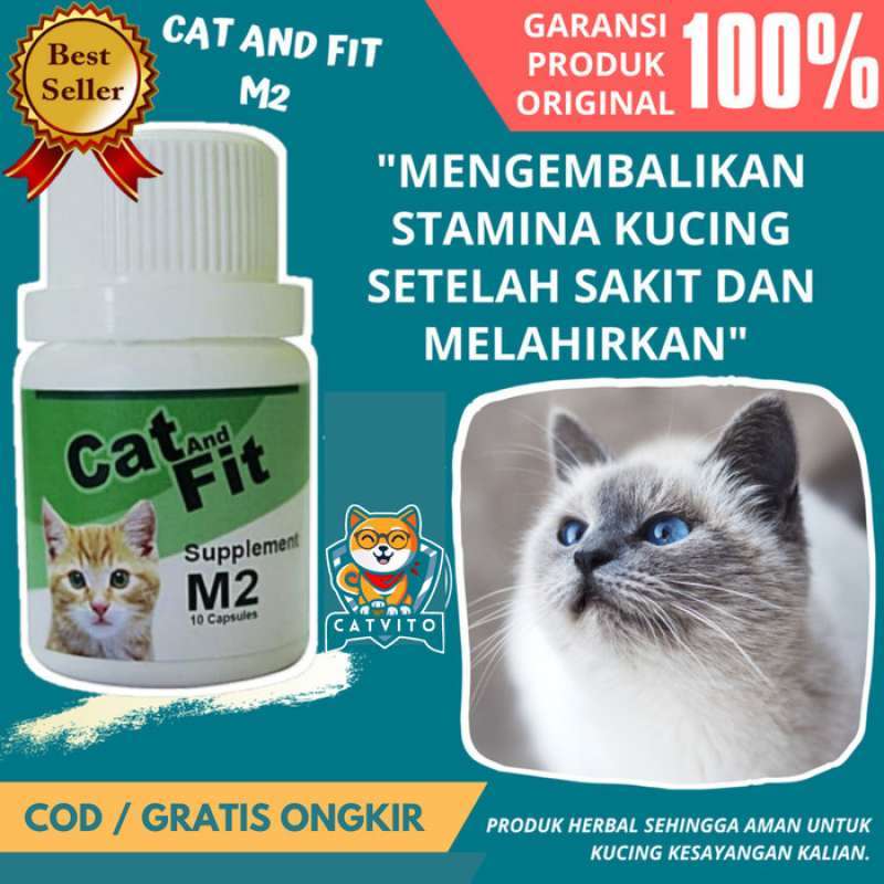 Promo Suplement Multivitamin Kucing Hamil dan Menyusui CAT and FIT M2 ...