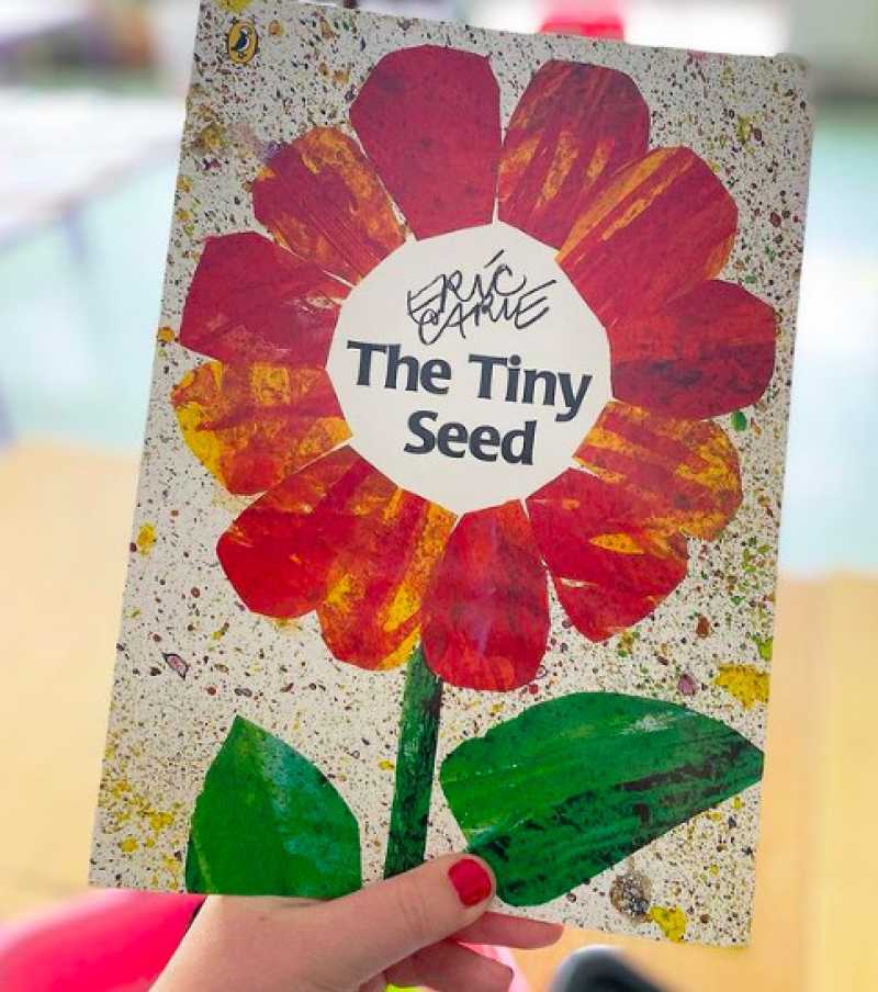 Promo The Tiny Seed (hardback) Eric Carle Diskon 23% Di Seller ...