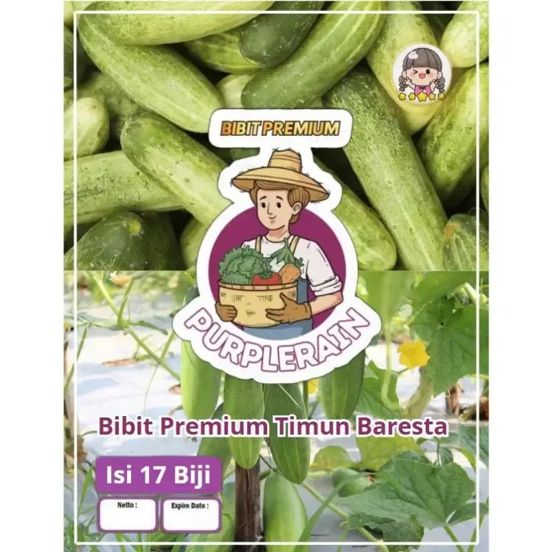 Jual Bibit Ketimun Unggul 💯 Harga Murah & Kualitas Terbaik Maret 2026