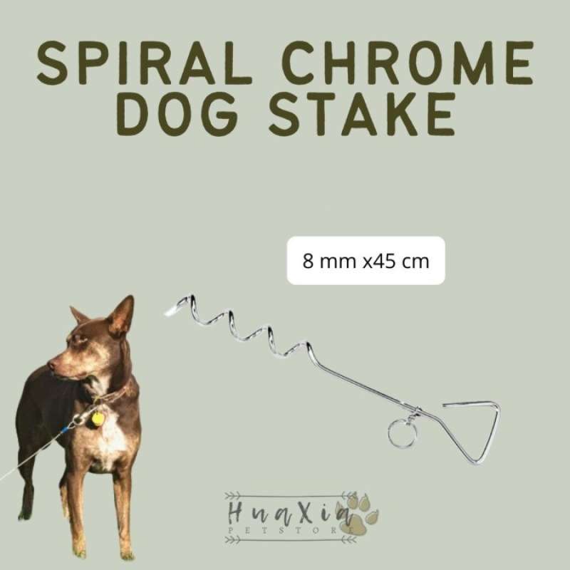Promo Spiral Chrome Dog Stake /Tiang Ikat Anjing Besi Galvanis Berlapis