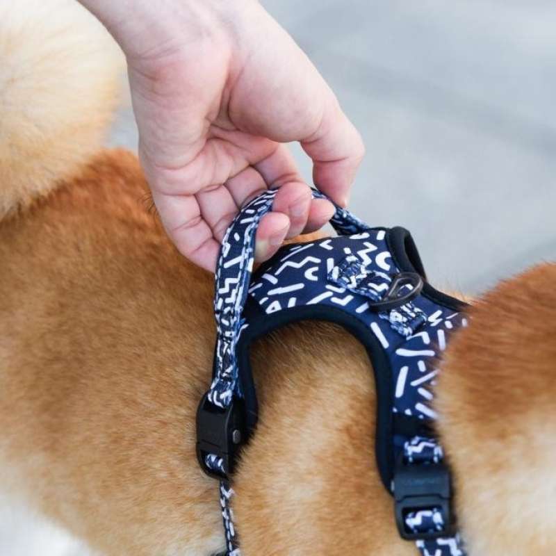 Promo Dogness Harness Elegant Vest Anjing Kucing Baju Biru Blue Flower Diskon 23 Di Seller Haura Kebon Kacang Kota Jakarta Pusat Blibli
