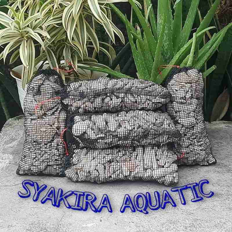 Jual Karangjahe Media Filter Kimiawi 1kg + Waring Di Seller Syakira