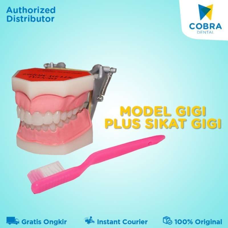 Promo Model Gigi Plus Sikat Diskon 33% Di Seller Desa Otomotif - Meruya ...