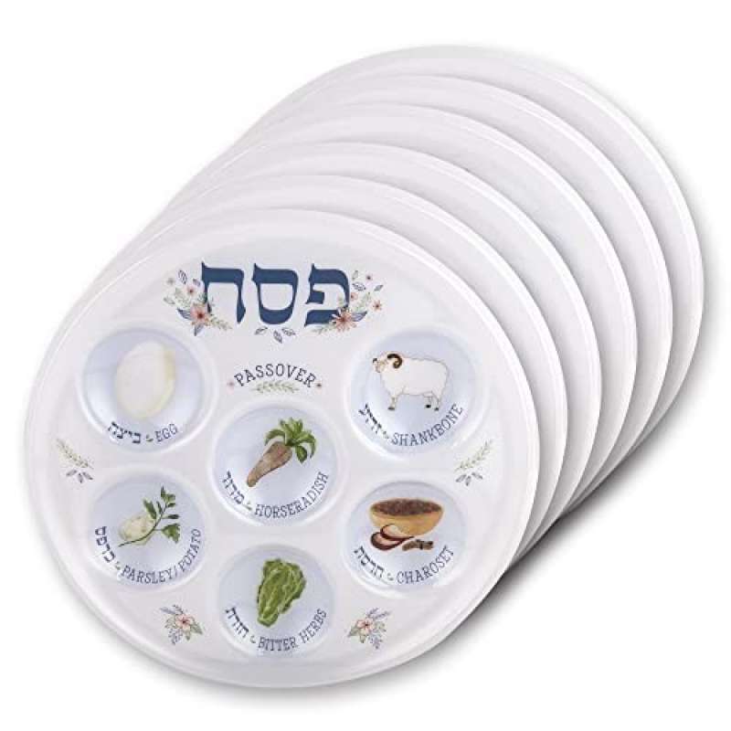 Jual Aviv Judaica Disposable Passover Seder Plate - 10.5' 6-pack Di ...