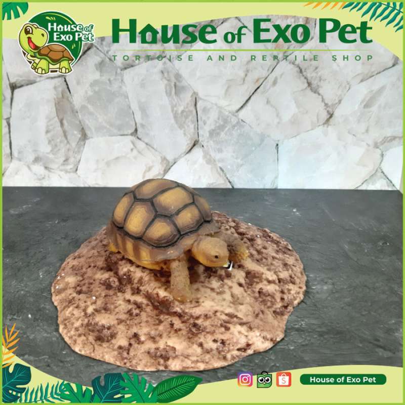 Promo BASKING SPOT M TEMPAT BERJEMUR REPTIL KURA DARAT SULCATA PARDALIS