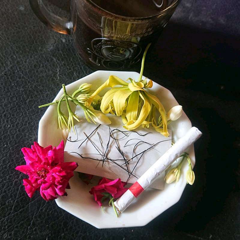 Jual Bulu Perindu Online: Antara Mitos, Bisnis, dan Etika