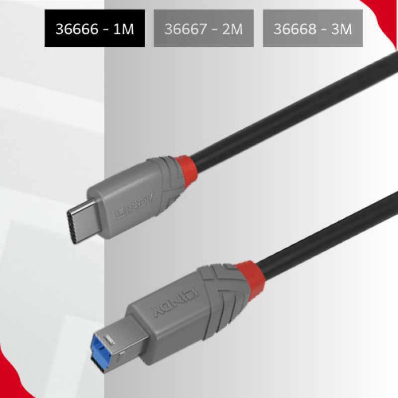 CERRXIAN USB 3.0 Type A Female To Type B Male Adapter (2-Pack) | 5Gbps Converter For Printers, Scanners, External Hard Drives