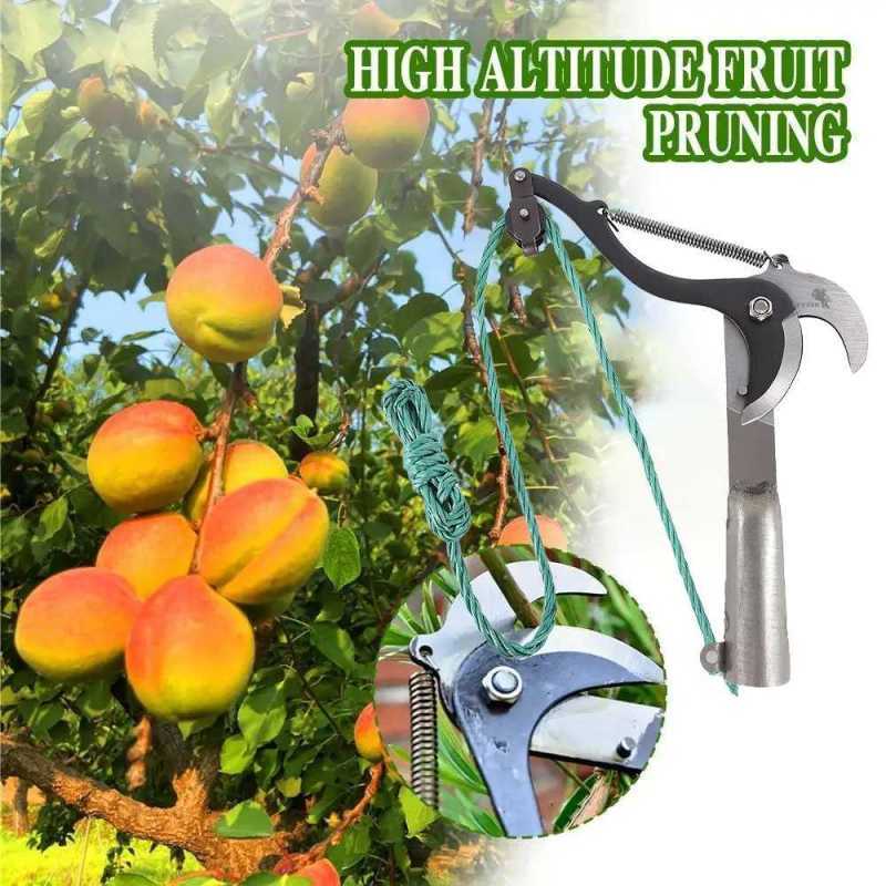 Jual Gunting Dahan Tinggi Ranting Pruning Scissors With Rope 1.5m Z8 ...