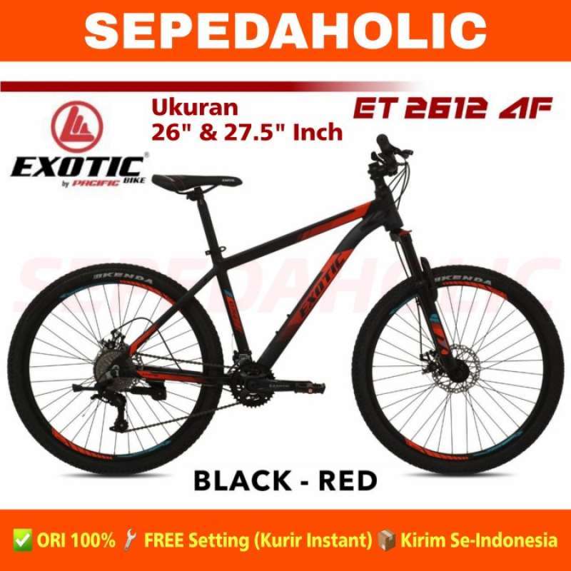 Exotic 27.5 sale