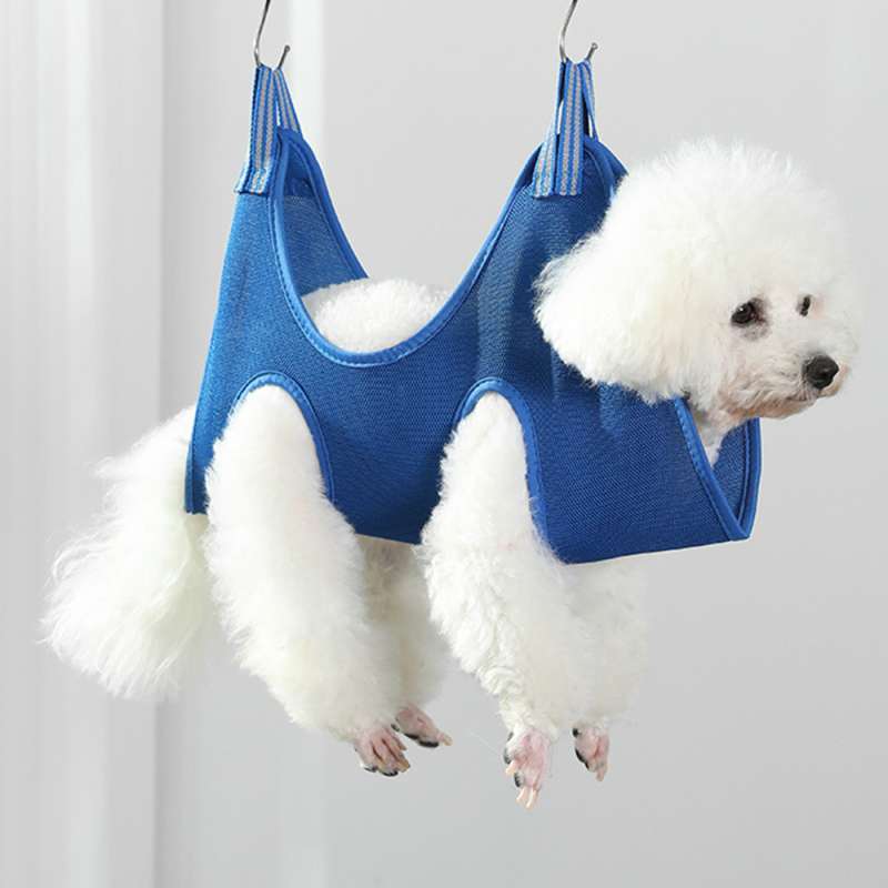 Dog Boarding Pawsh Dog Grooming Pawsh Mobile Grooming