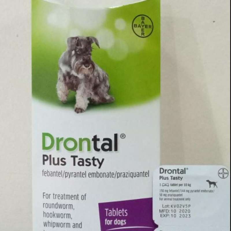 Drontal Plus Tasty Obat Cacing Anjing BY Bayer