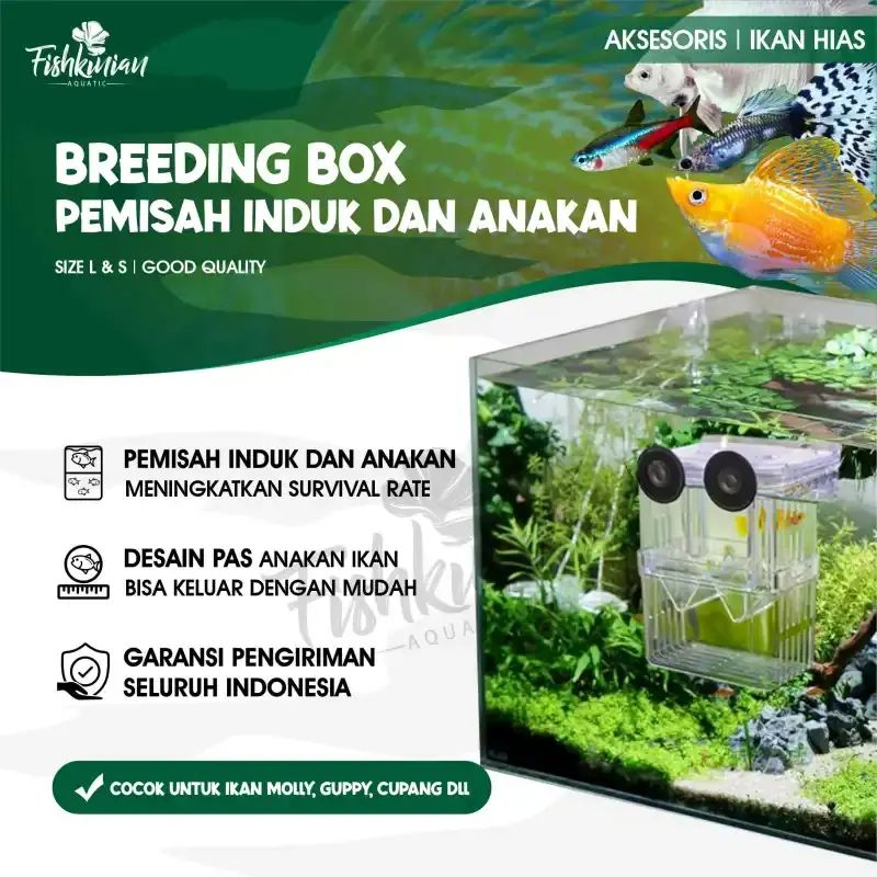 breeding box for molly fish Isolation box/ bearing fish and fry Bottom compartment safely collects and protects falling fry Ideal as a Betta enclosure Can also be used as a safe house for wounded or aggressive fish Marina 3 in 1 Floating Breeding Trap Aquarium J-star Extra Large Fish Breeder
