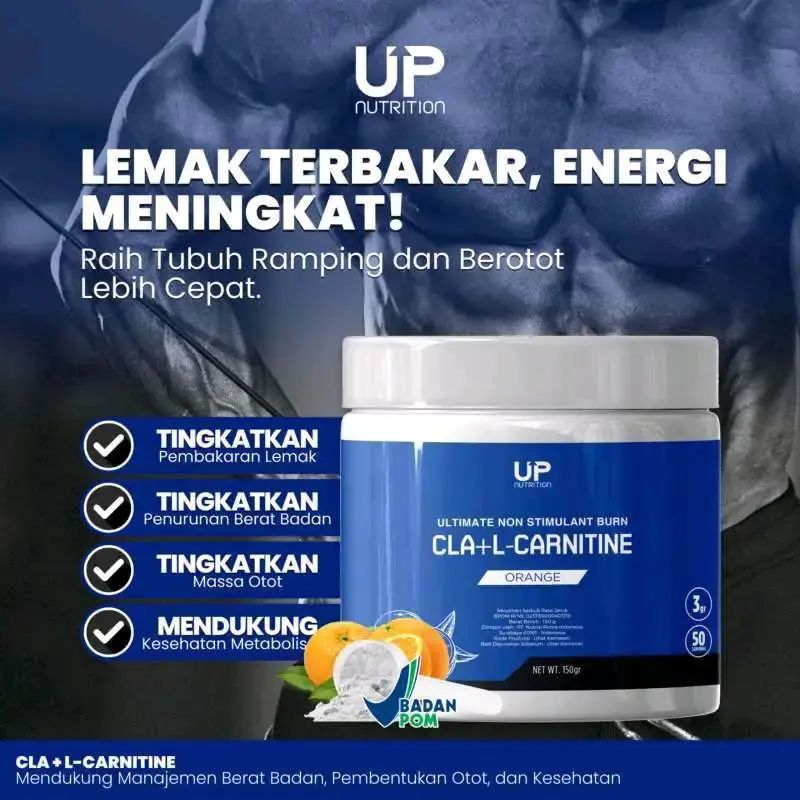 acetyl l carnitine dischem L-Carnitine - 60 Vegecaps