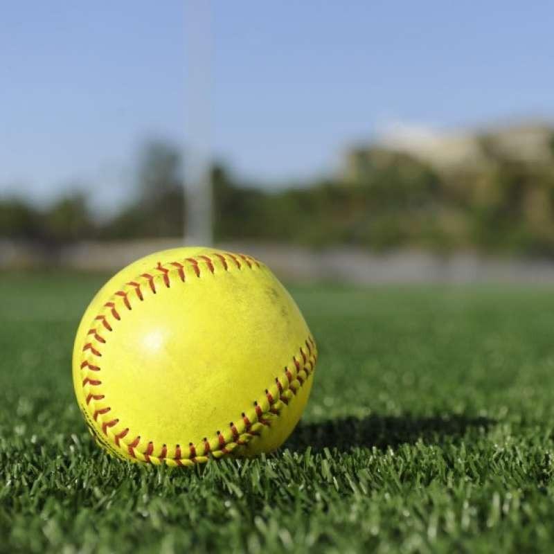 Jual Bola Softball Slowpitch Polos Ball Standard Spec Resmi Di Seller