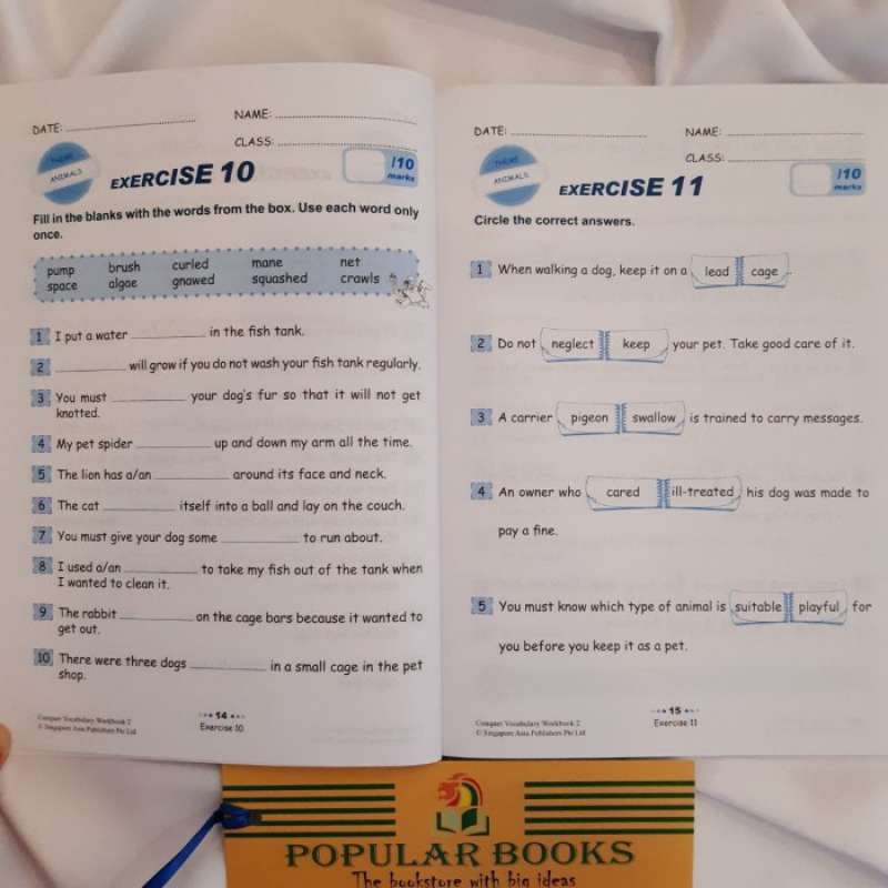 Promo Conquer Vocabulary For Primary Levels Workbook 2 Diskon 23% Di ...