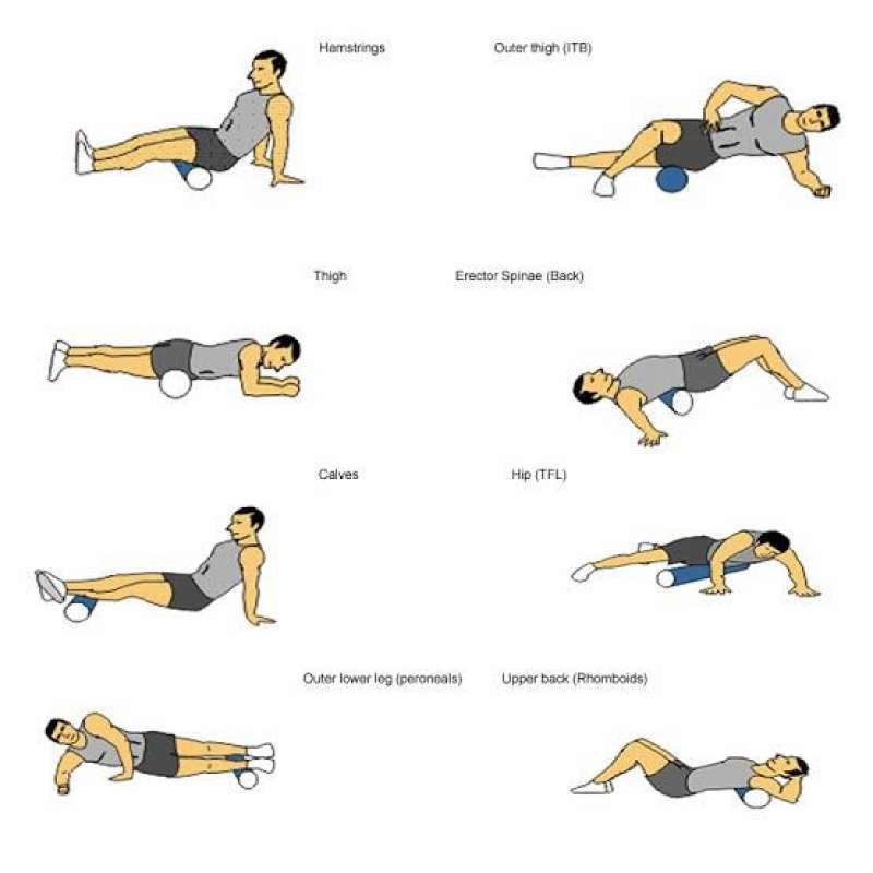 Trigger Point Blue Jual Kettler Foam Roller Blue Foam Trigger Point' Di Seller Cerenti ...