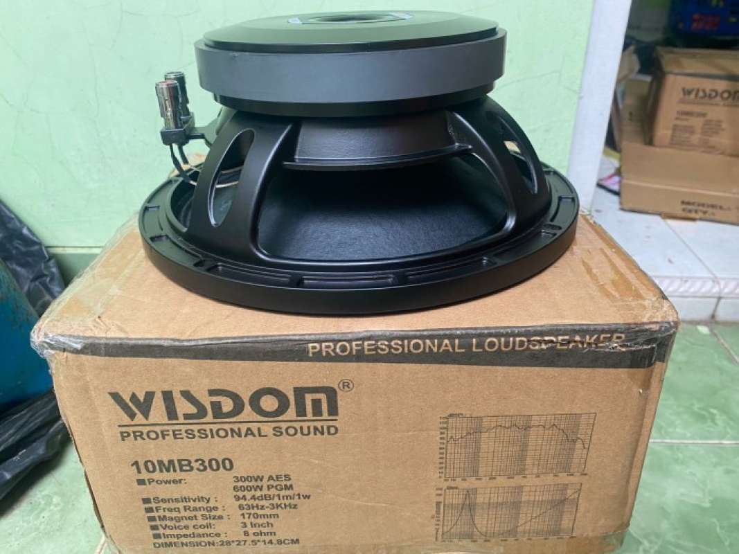 Promo Speaker Komponen Wisdom 10mb300 10 Inchi Line Array Speaker