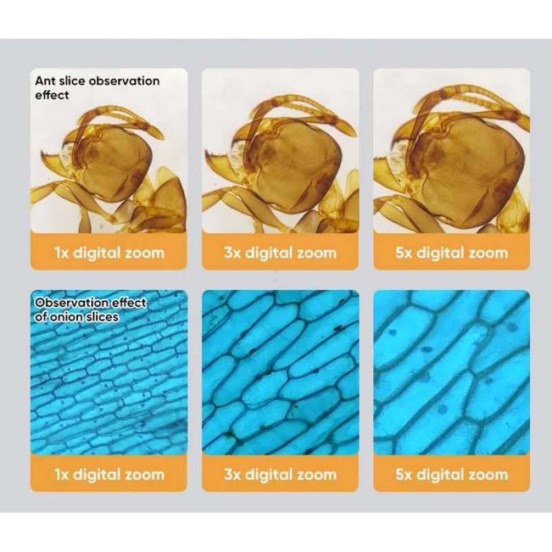 Jual Mikroskop Digital Portable Microscope 1um 1080p Apl-ms003 ...