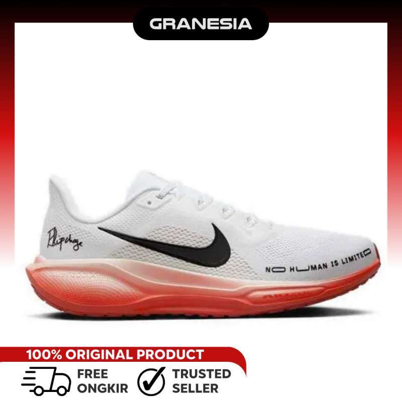 NIKE Pegasus 41 
