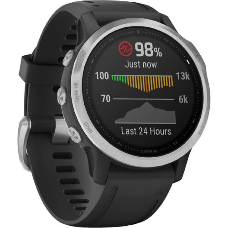 Garmin fenix 6S Multisport GPS Smartwatch (42mm, Silver Black Band) - Main Image