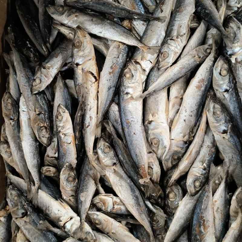 Jual Ikan Asin Layang Rebus /ikan Cue 500 Gram Di Seller Toko Ikan Mega - Kebon Besar-2, Kota Tangerang | Blibli