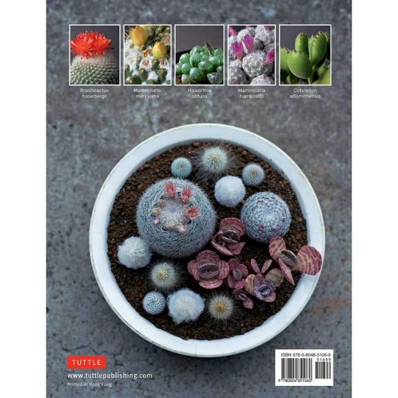 Promo The Gardeners Guide To Succulents By Misa Matsuyama Diskon 24% Di ...