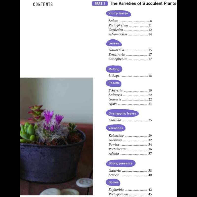 Promo The Gardeners Guide To Succulents By Misa Matsuyama Diskon 24% Di ...