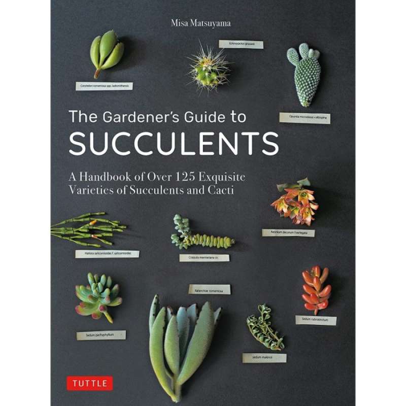Promo The Gardeners Guide To Succulents By Misa Matsuyama Diskon 24% Di ...
