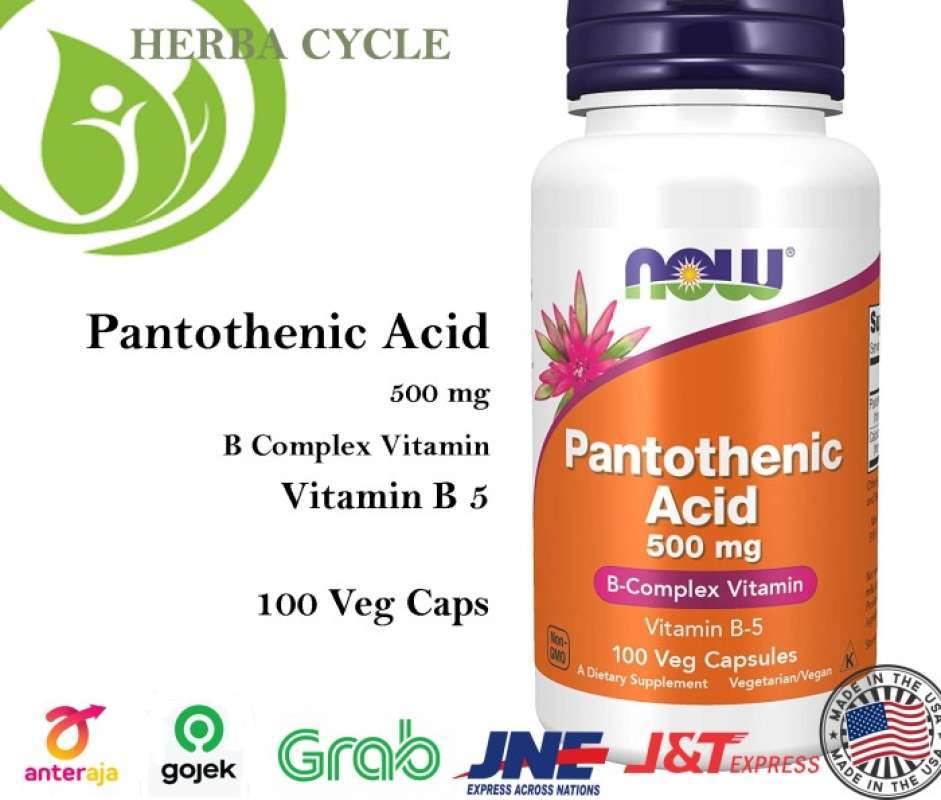 Promo Now Foods Pantothenic Acid 500mg 100 Vegcap Vit B Complex Vit B5