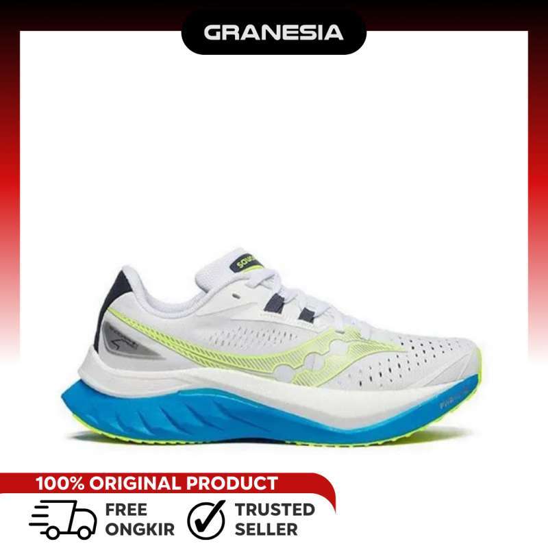 Sepatu Saucony Running Shoe Saucony Triumph Saucony 35 Sepatu Lari