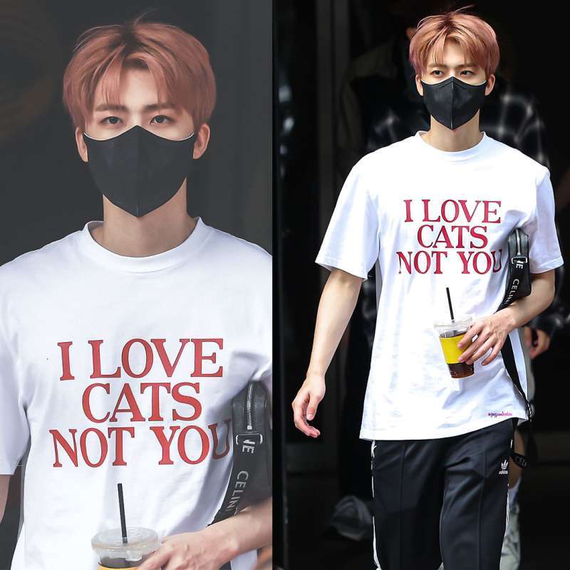 ★送料・関税込★ITZAVIBE★NO COLOR SHADOW CAT T-SHIRT★ IBB23UT04BK] NO COLOR SHADOW CAT - BLACK - ITZAVIBE