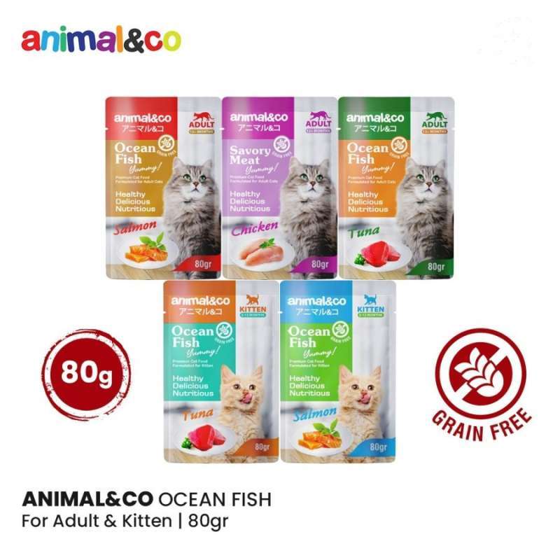 Jual Animal&co Pouch Kitten Adult 80gr Makanan Basah Kucing/wet Food Anak Dewasa Murah Adult